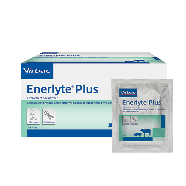 306158-ENERLYTE PLUS_24X100G_ATBECHDEEEESFRGBITLUNLPT_WEB_600X600_face.png