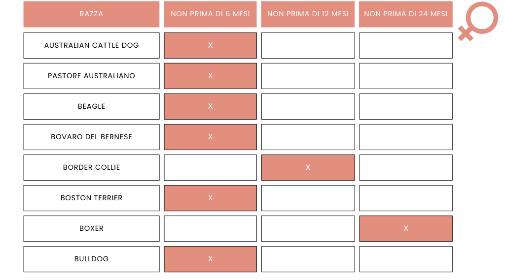 Sterilizzare la cagna