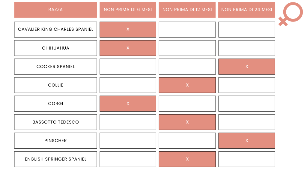 Sterilizzare la cagna