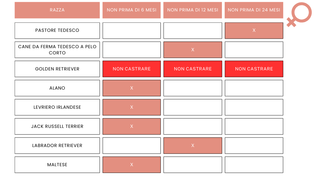 Sterilizzare la cagna