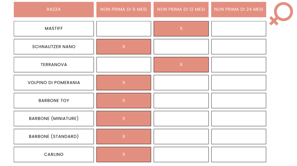 Sterilizzare la cagna