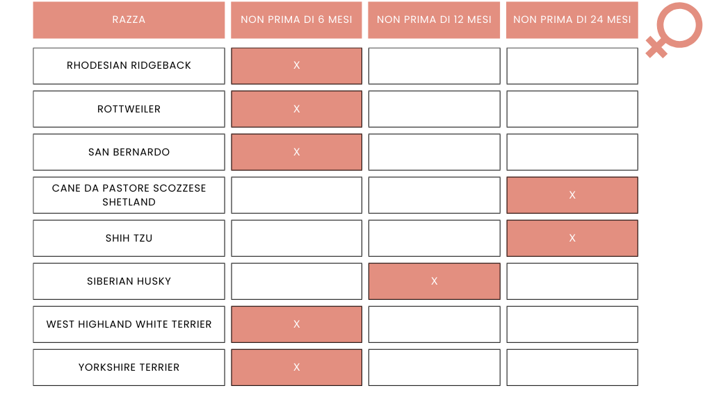 Sterilizzare la cagna