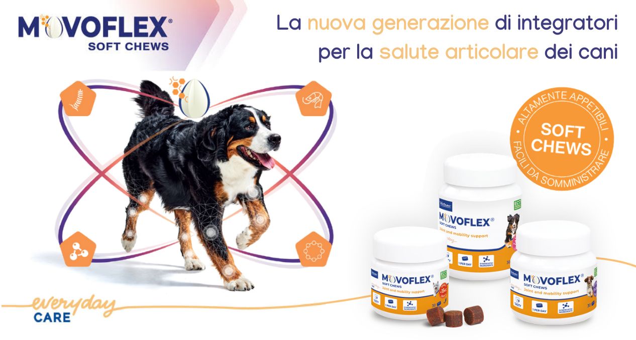 La nuova generazione di integratori per la salute articolare (1).jpg